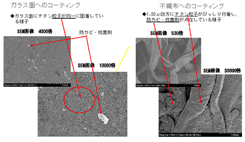 コーティング膜のＳＥＭ写真