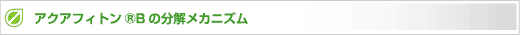 アクアフィトン®の分解メカニズム